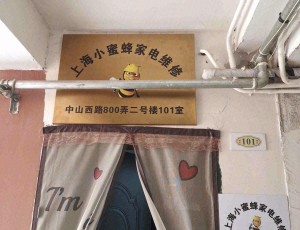 新泾上海小蜜蜂家电维修管道疏通封面图