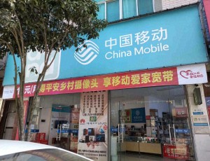 少阳湖哥移动营业厅手机电脑维修零售店封面图