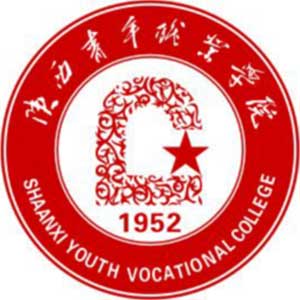 陕西青年职业学院校徽
